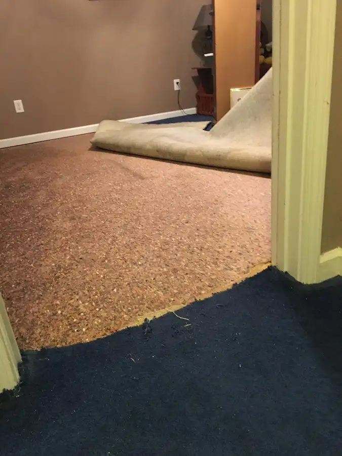 Carpet pad removal revealing water damage during Water Mitigation Services in Pavilion