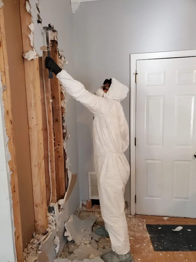 Water Damage Assessment in Pavilion, MI